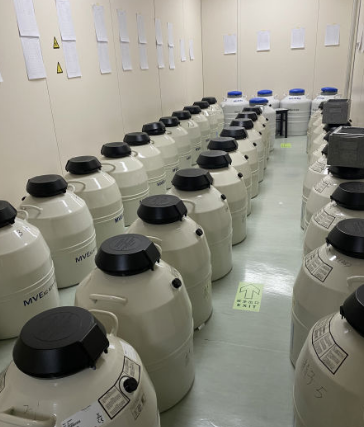 mve液氮罐 mve液氮罐