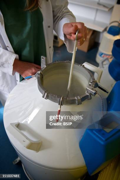 干式液氮罐 干式液氮罐